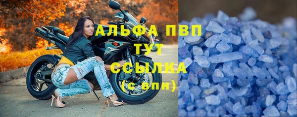 индика Абдулино